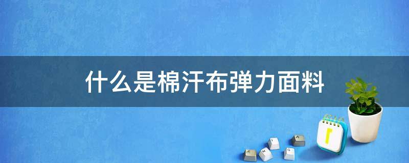 什么是棉汗布弹力面料（弹力绒布是什么面料）