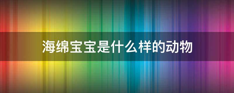 海绵宝宝是什么样的动物（海绵宝宝是一个什么样的动物）