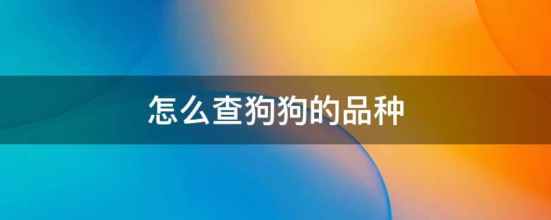 怎么查狗狗的品种 怎么查狗狗是什么品种我来查