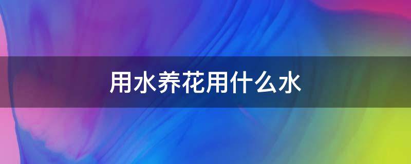 用水养花用什么水（有什么花用水养）