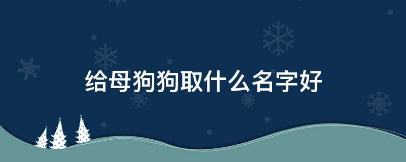 给母狗狗取什么名字好（给母狗狗取什么名字好听）