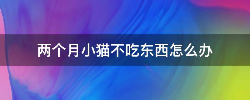 两个月小猫不吃东西怎么办（两个月的猫猫不怎么吃东西怎么办）