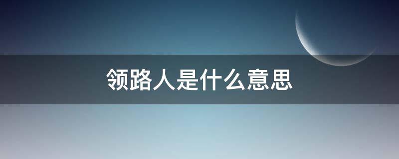 领路人是什么意思 先锋领路人是什么意思