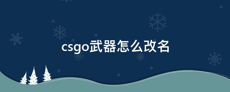 csgo武器怎么改名（csgo武器怎么改名中文）