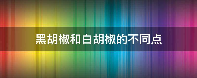 黑胡椒和白胡椒的不同点 黑胡椒与白胡椒的不同