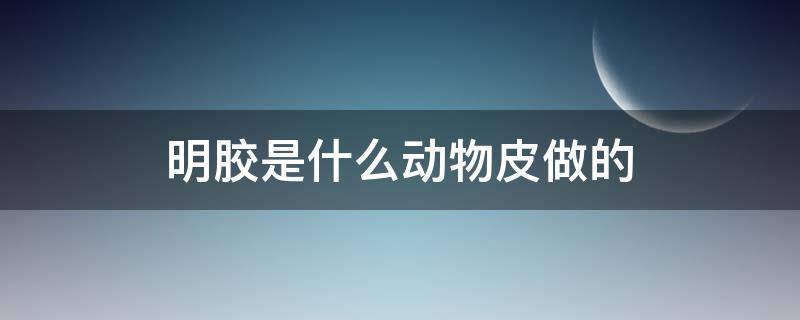 明胶是什么动物皮做的（食明胶是用 什么皮做的什么做成的）