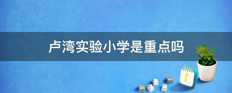 卢湾实验小学是重点吗 卢湾区第一中心小学是重点小学吗怎么样