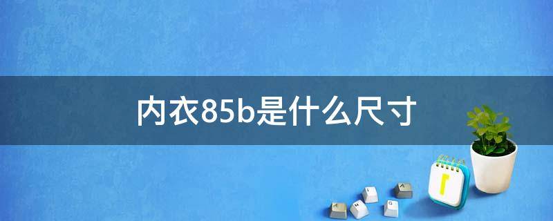 内衣85b是什么尺寸（内衣85b是什么尺寸是l吗）