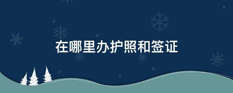 在哪里办护照和签证（签证和护照在哪里办理流程）