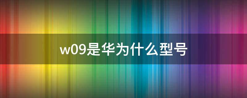 w09是华为什么型号 agsw09是华为什么型号