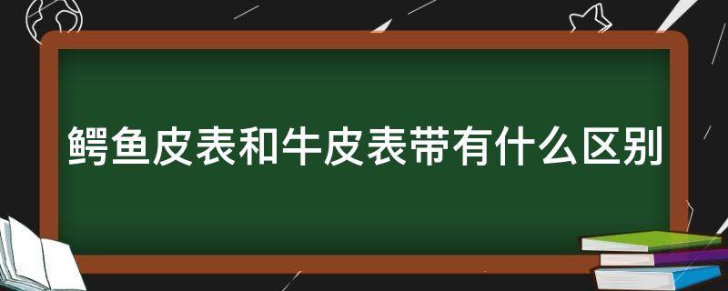 鳄鱼皮表和牛皮表带有什么区别 鳄鱼皮表带和牛皮表带哪个好