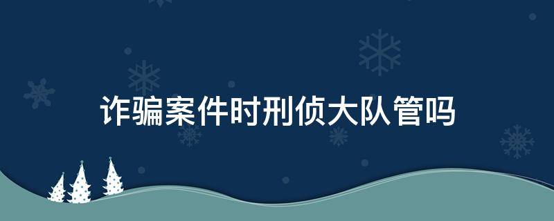 诈骗案件时刑侦大队管吗 诈骗立案了刑警队查吗