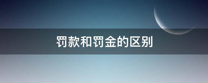 罚款和罚金的区别 罚款和罚金的区别通俗的解释