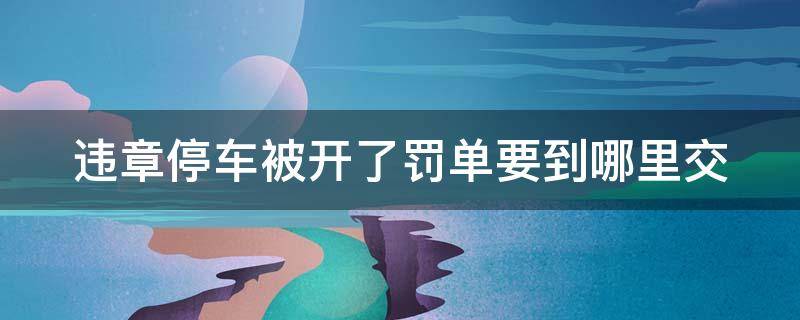 违章停车被开了罚单要到哪里交（违章停车被开了罚单要到哪里交钱）