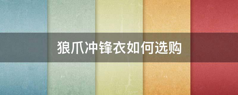 狼爪冲锋衣如何选购 狼爪冲锋衣价格和图片