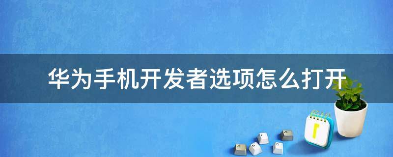 华为手机开发者选项怎么打开（华为手机开发者选项怎么打开usb调试）