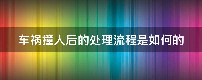 车祸撞人后的处理流程是如何的（车祸 撞人 如何处理）