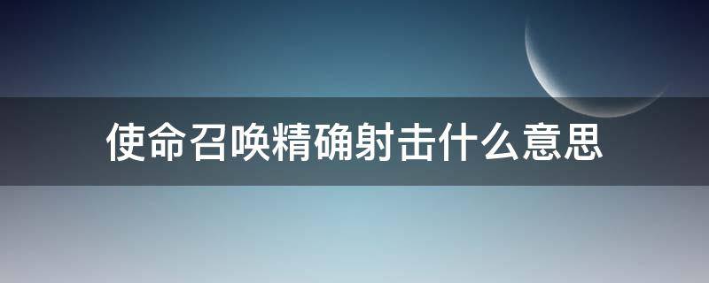 使命召唤精确射击什么意思（使命召唤里的精确射击是什么意思）