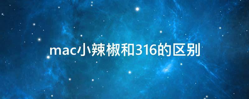 mac小辣椒和316的区别 mac小辣椒到底是316还是602