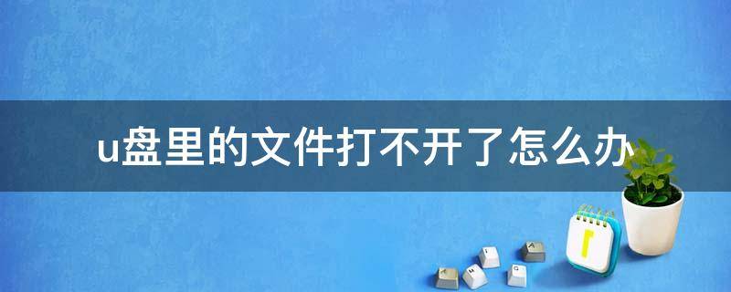 u盘里的文件打不开了怎么办（u盘的文件怎么打不开了怎么办）