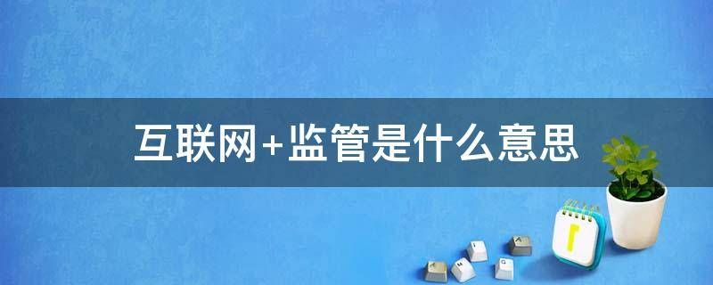 互联网+监管是什么意思（“互联网+监管”）