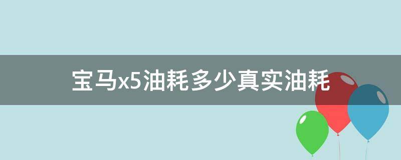 宝马x5油耗多少真实油耗 02年宝马x5油耗多少真实油耗