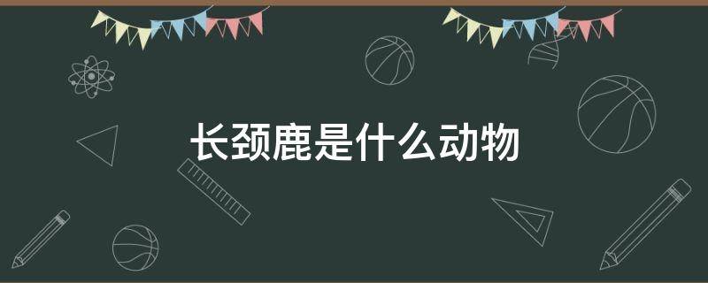 长颈鹿是什么动物（长颈鹿是什么动物类型）