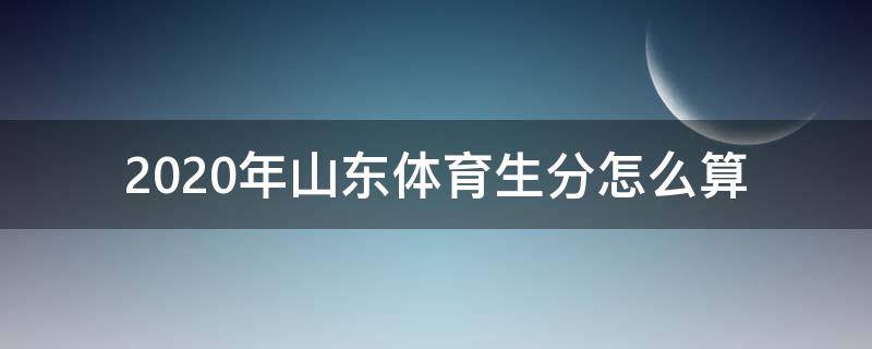 2020年山东体育生分怎么算 山东省体育生评分标准2020