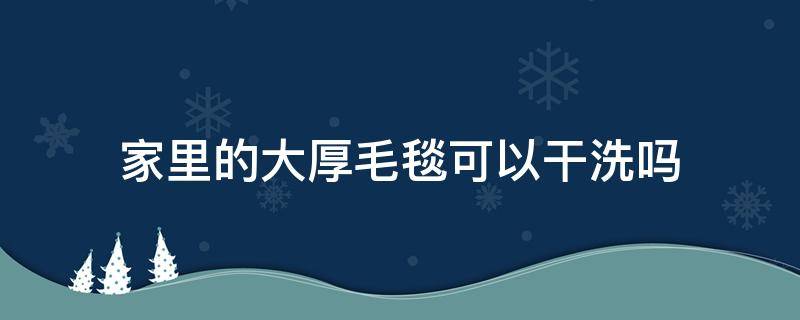 家里的大厚毛毯可以干洗吗 厚毛毯可以干洗吗?