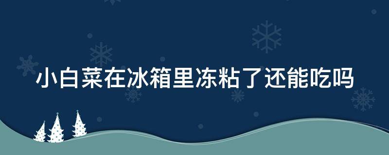 小白菜在冰箱里冻粘了还能吃吗 小白菜在冰箱里冻粘了还能吃吗视频