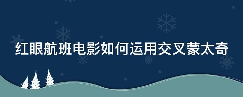 红眼航班电影如何运用交叉蒙太奇（红眼航班影评）