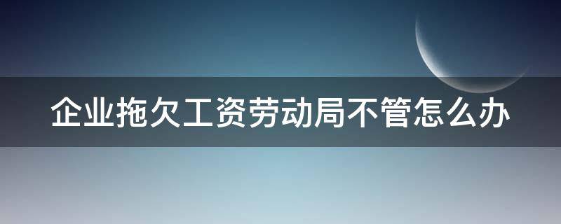 企业拖欠工资劳动局不管怎么办（企业拖欠工资劳动局不管怎么办理）