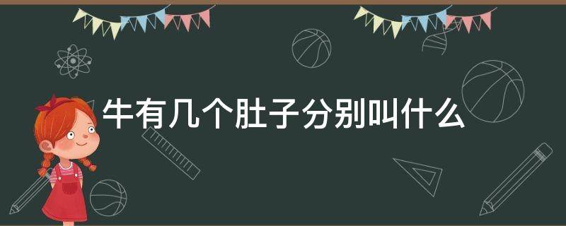 牛有几个肚子分别叫什么（牛的肚子分别叫什么）