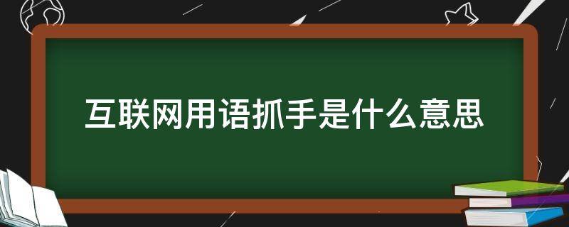 互联网用语抓手是什么意思（互联网词语 抓手）