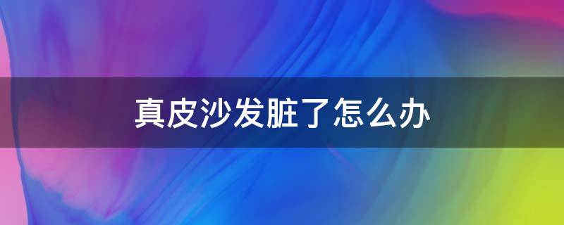 真皮沙发脏了怎么办 牛皮沙发脏了怎么办