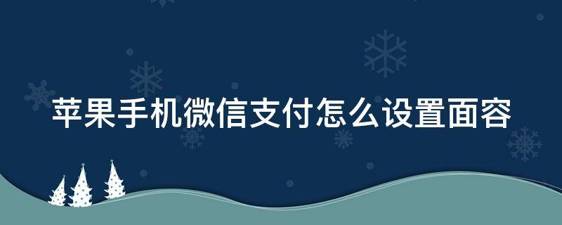 苹果手机微信支付怎么设置面容 苹果手机微信支付怎么设置面容支付