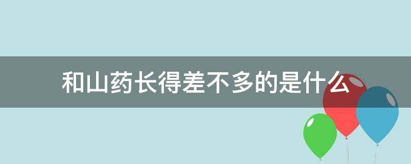 和山药长得差不多的是什么（和山药长得差不多的是什么广东）