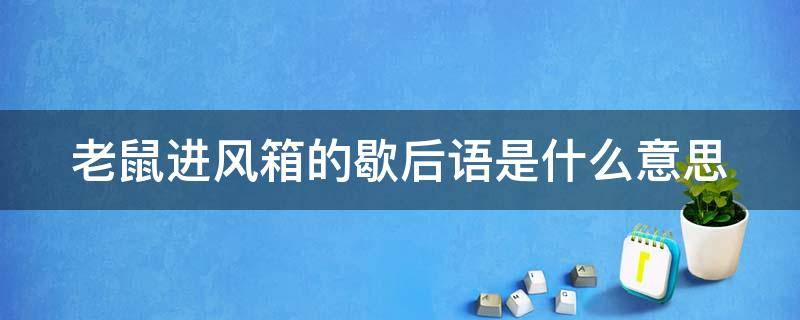 老鼠进风箱的歇后语是什么意思（老鼠进风箱的后一句是什么?）