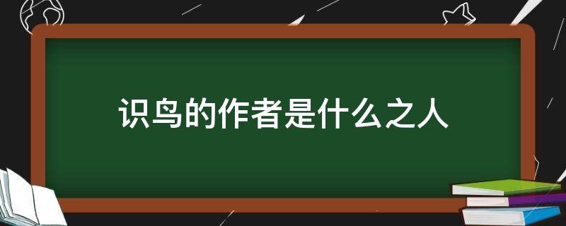 识鸟的作者是什么之人 识鸟的作者是谁