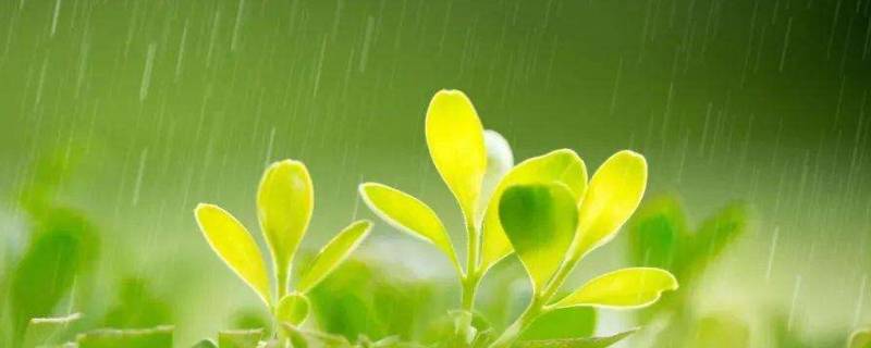润物细无声的深刻含义 润物细无声的理解