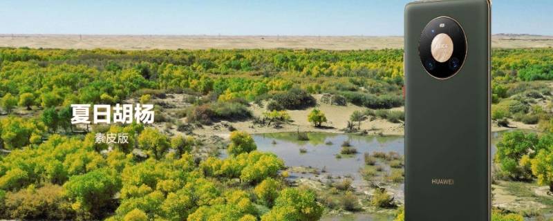 夏日胡杨是什么颜色（华为mate40夏日胡杨是什么颜色）