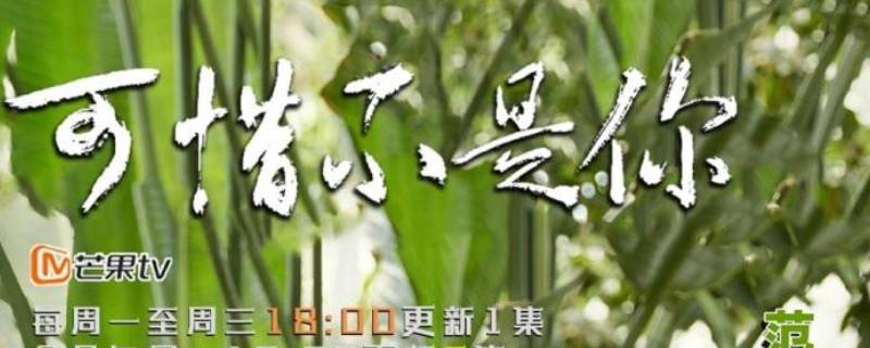 回不去的从前是哪个电视剧（回不去的从前电视剧情介绍）