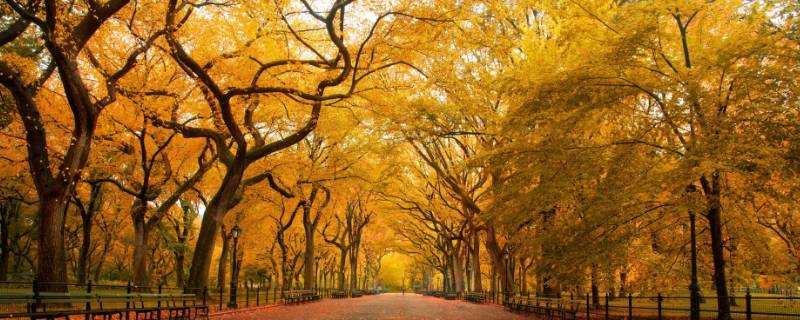 秋来冬近春不远下一句（秋已至 冬不远 下一句）