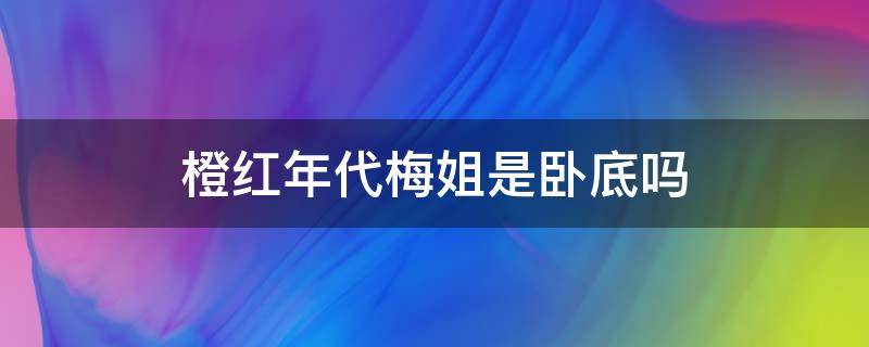 橙红年代梅姐是卧底吗 橙红年代梅姐背后的老大是谁