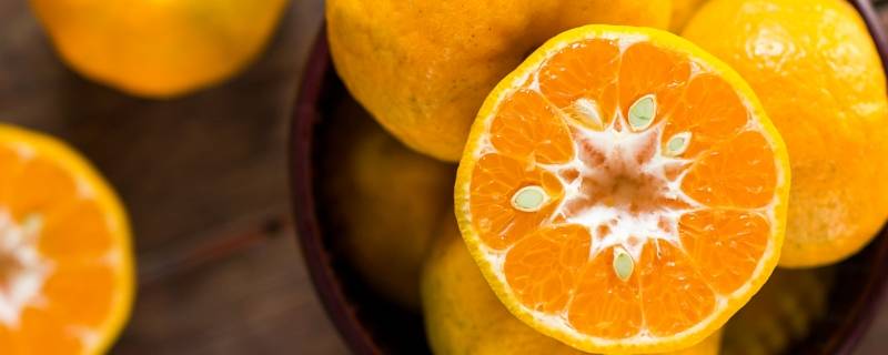 江西高安哪里有橘子摘（南安摘橘子的地方）