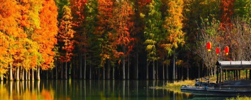 仙桃梦里水乡最佳旅游时间（仙桃梦里水乡旅游攻略）