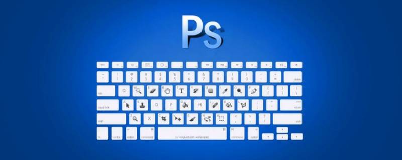 ps怎么把图片做成矢量图格式（怎么把ps文件变成矢量图）