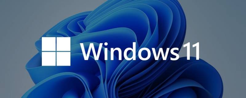 win11预览版怎么升级正式版 win11预览版怎么升级正式版区别