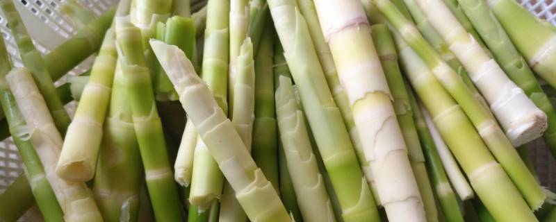 青竹笋怎么做好吃（青萝卜怎么做好吃）