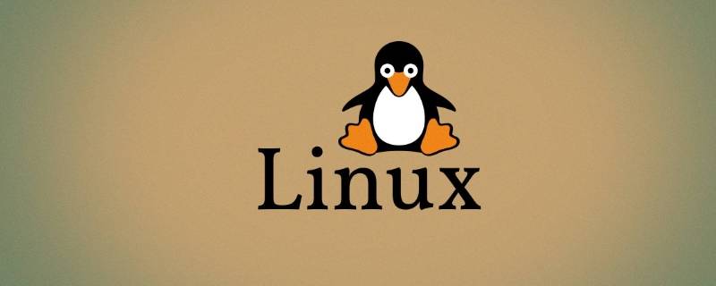 电脑可以直接装linux系统吗（windows系统可以装linux系统吗）